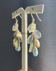 Golden Rutile Stars, Watermelon Tourmaline, Labradorite, Citrine 14KGF Earrings