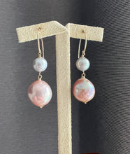 Load image into Gallery viewer, Silver Blue Akoya Pearls, Large Deep Pink-Rainbow Edison Pearls 14kGF Earrings