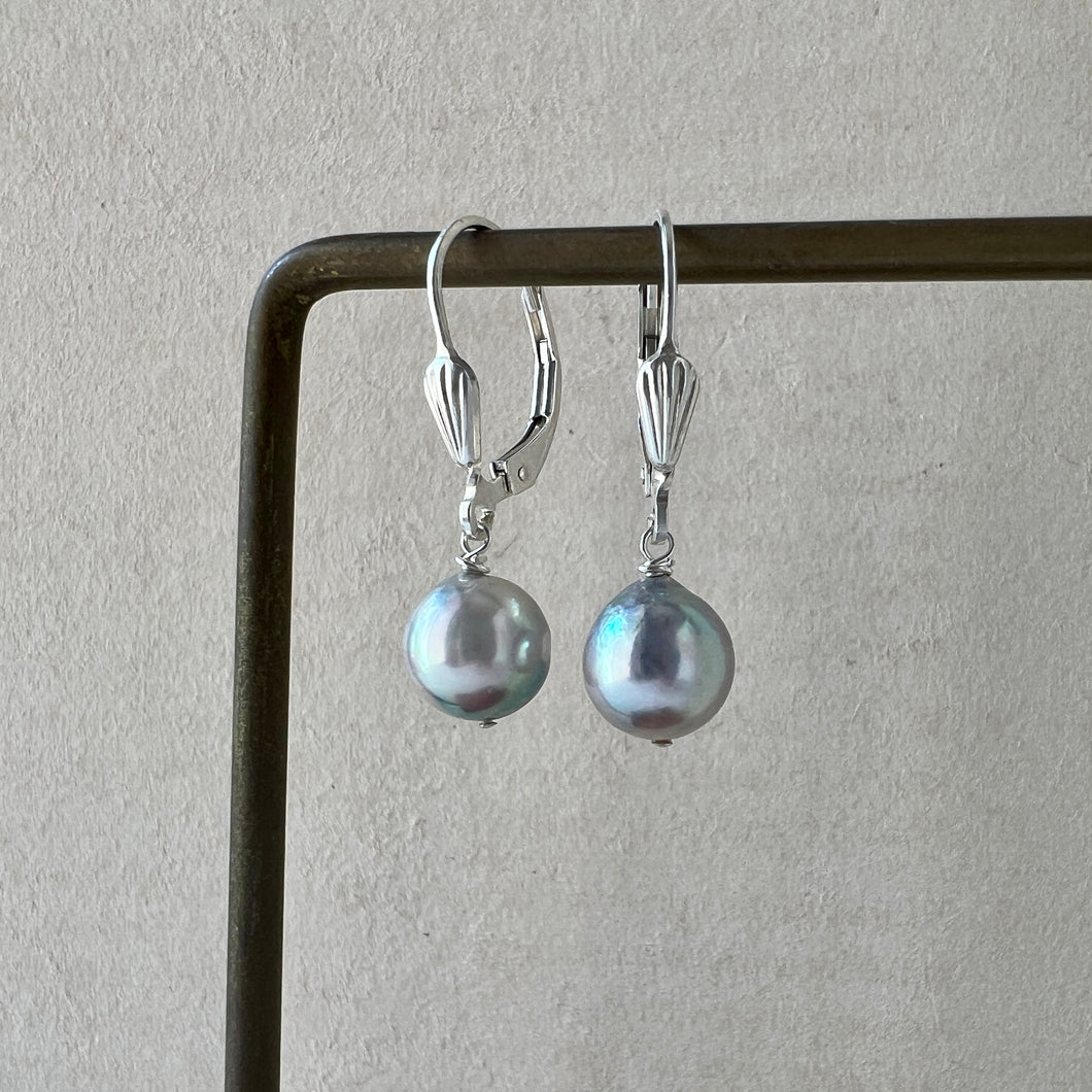 Silver-Blue Akoya Pearl 925 Silver Earrings