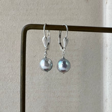Load image into Gallery viewer, Silver-Blue Akoya Pearl 925 Silver Earrings