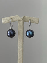 Load image into Gallery viewer, Dark Blue Freshwater Pearls on Rhodium Plated Hooks